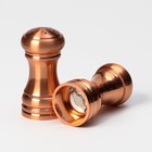 Набор мельниц для соли и перца Доляна, 2 шт., 10×5×10 см, цвет бронзовый - Фото 7