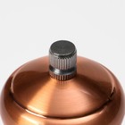 Набор мельниц для соли и перца Доляна, 2 шт., 10×5×10 см, цвет бронзовый - Фото 9