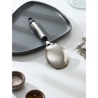 Ложка гарнирная из нержавеющей стали Доляна «Помощник», 26 см, серебристая - Фото 2