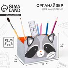 Органайзер для канцелярии, составной «Енот» - Фото 1