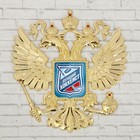 Герб настенный «Лучший хоккеист», 25 х 22.5 см - фото 8735922