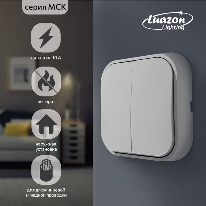 Выключатель Luazon Lighting «МСК», 10 А, 2 клавиши, белый - Фото 1