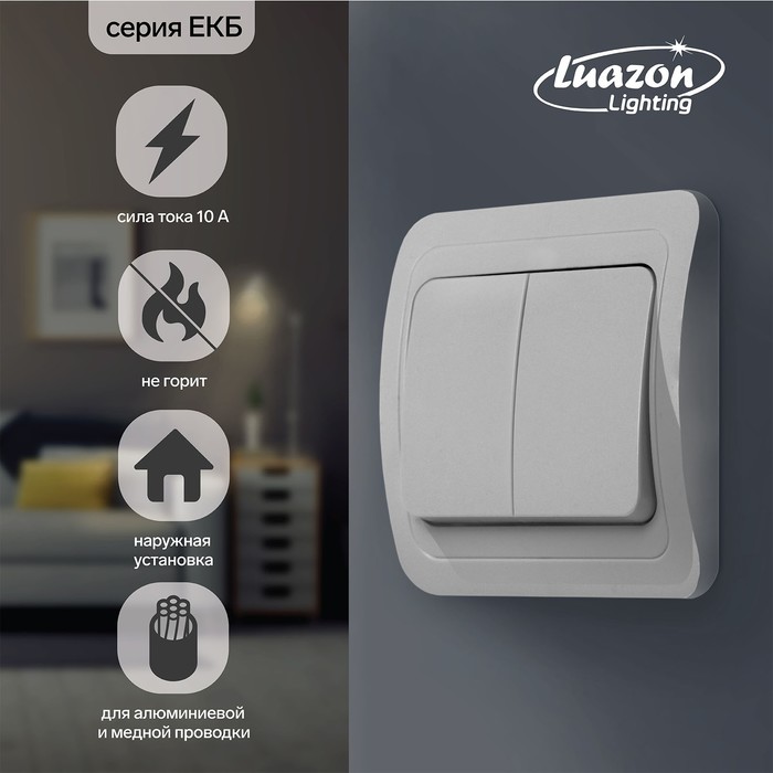 Выключатель Luazon Lighting «ЕКБ», 10 А, 2 клавиши, белый - Фото 1