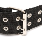 Ошейник, 80×4.9 см, ОШ 65-75 см, четырёхслойный, полиэстер, чёрный - Фото 4