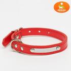 Ошейник с шильдом под гравировку, 35 х 1,5 см, микс цветов - Фото 1