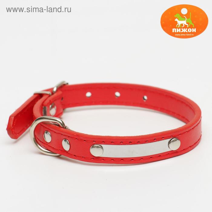 Ошейник с шильдом под гравировку, 35 х 1,5 см, микс цветов - Фото 1