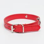 Ошейник с шильдом под гравировку, 35 х 1,5 см, микс цветов - Фото 2