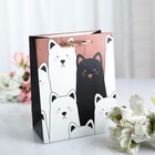 Пакет ламинированный «Котики», люкс, 10?18?23 см (комплект 11 шт) - фото 68036588