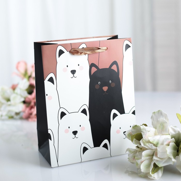 Пакет ламинированный 