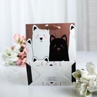 Пакет ламинированный «Котики», люкс, 10?18?23 см (комплект 11 шт) - фото 68036589