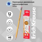 Карандаш чернографитный с ластиком, ErichKrause, Amber 101, НВ, дерево, шестигранный, в коробке, желтый корпус 3940152 - фото 12164393