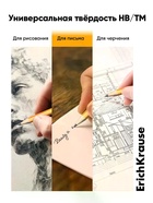 Карандаш чернографитный ErichKrause. Amber 101, НВ, с ластиком, шестигранный - Фото 7