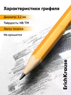 Карандаш чернографитный ErichKrause. Amber 101, НВ, с ластиком, шестигранный, деревянный, жёлтый корпус - Фото 8