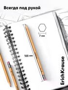 Карандаш чернографитный ErichKrause. Amber 101, НВ, с ластиком, шестигранный, деревянный, жёлтый корпус - Фото 7