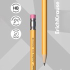 Карандаш чернографитный ErichKrause. Amber 101, НВ, с ластиком, шестигранный, деревянный, жёлтый корпус - Фото 1