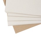 Картон белый 19,5х27 см, 16 листов "Бабочка" - Фото 2