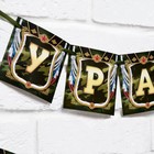 Гирлянда на ленте «Дембель», длина 215 см - Фото 3