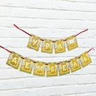 Гирлянда на ленте «Дембель», длина 215 см - Фото 7