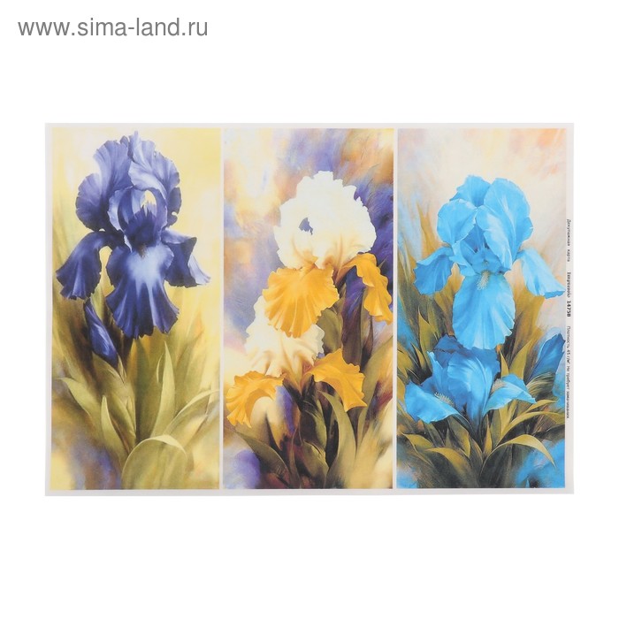 Декупажная карта "Особая прелесть" плотность 45 г/м2. формат А4 - Фото 1