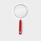 Сито для просеивания Доляна «Хозяюшка», d=12 см, красное - Фото 2