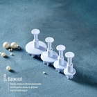 Набор плунжеров кондитерских Доляна «Цветы. Гербера», 4 шт., d=2/2.7/3.8/4.1 см - Фото 10