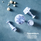 Набор плунжеров кондитерских Доляна «Цветы. Гербера», 4 шт., d=2/2.7/3.8/4.1 см - Фото 11