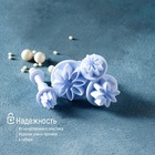 Набор плунжеров кондитерских Доляна «Цветы. Гербера», 4 шт., d=2/2.7/3.8/4.1 см - Фото 14