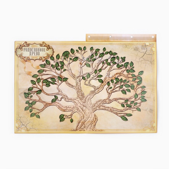 Родословная книга «Наш род», с пером, 56 листов, коричневый, 35 х 25 см 3282674