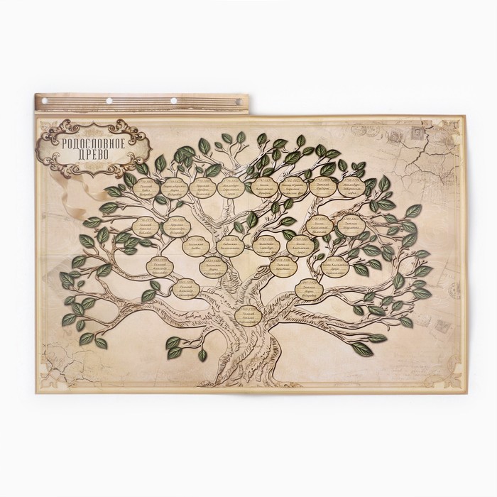 Родословная книга «Наш род», с пером, 56 листов, коричневый, 35 х 25 см 3282674