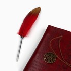 Родословная книга «Наш род», с пером, 56 листов, бордо, 35×25 см - Фото 6