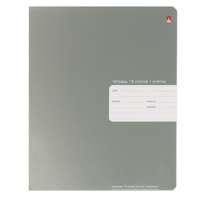 Тетрадь 18 листов в клетку Platinum, обложка металлизированный картон