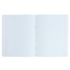 Тетрадь 24 листа в клетку «Котята», обложка мелованная бумага, МИКС - Фото 2