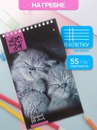 Блокнот «Альт. Кошки», А5, 40 листов, на гребне, МИКС - Фото 2