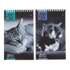 Блокнот «Альт. Кошки», А5, 40 листов, на гребне, МИКС - Фото 2