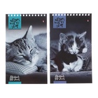 Блокнот «Альт. Кошки», А5, 40 листов, на гребне, МИКС - Фото 4