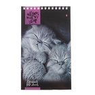 Блокнот «Альт. Кошки», А5, 40 листов, на гребне, МИКС - Фото 5