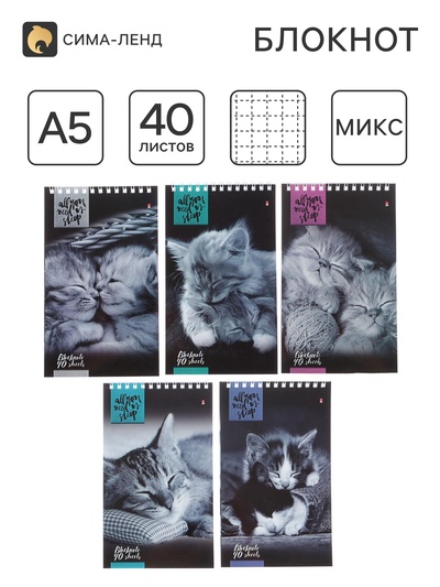 Блокнот «Альт. Кошки», А5, 40 листов, на гребне, МИКС