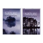 Блокнот А6, 40 листов на скрепке "Природа", МИКС - фото 5806264