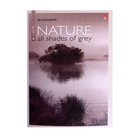 Блокнот А6, 40 листов на скрепке "Природа", МИКС - Фото 4