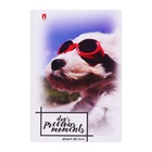 Блокнот А7, 40 листов на скрепке "Щеночки", МИКС (комплект 4 шт) - фото 52627265