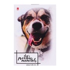 Блокнот А7, 40 листов на скрепке "Щеночки", МИКС (комплект 4 шт) - фото 52627266