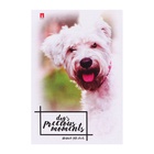 Блокнот А7, 40 листов на скрепке "Щеночки", МИКС (комплект 4 шт) - фото 52627268