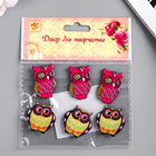 Декор пластик "Совята" МИКС 3,1х2 см (комплект 6 шт) - фото 24531935