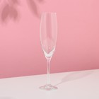 Набор бокалов для шампанского Bohemia Crystal «София», 230 мл, 6 шт - фото 4256585