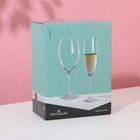 Набор бокалов для шампанского Bohemia Crystal «София», 230 мл, 6 шт - Фото 5
