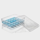 Контейнер для хранения яиц Доляна, 20 ячеек, 27.5×22×7 см, пластик, МИКС - Фото 3