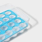 Контейнер для хранения яиц Доляна, 20 ячеек, 27.5×22×7 см, пластик, МИКС - Фото 4