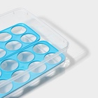 Контейнер для хранения яиц Доляна, 20 ячеек, 27.5×22×7 см, пластик, МИКС - Фото 5