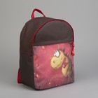 Рюкзак молодёжный, отдел на молнии, цвет коричневый - Фото 1