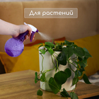 Пульверизатор, 0.35 л, МИКС, Greengo - Фото 6